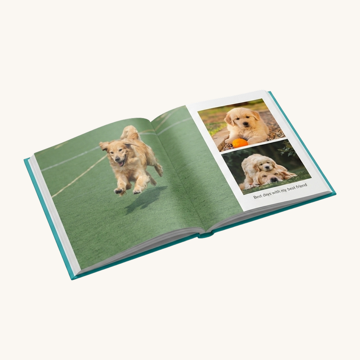 PETFOLIO