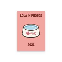 IN PHOTOS